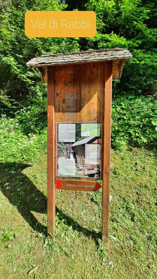 Marmot Apartment Dimaro Exteriér fotografie