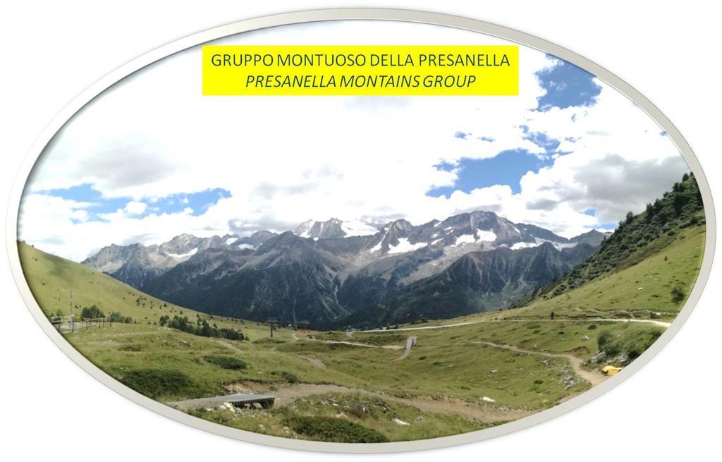 Marmot Apartment Dimaro Exteriér fotografie